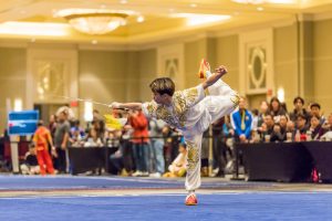 55023893646_934c09c038_c