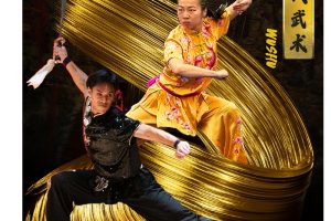 Division Graphics - Wushu - John Burns